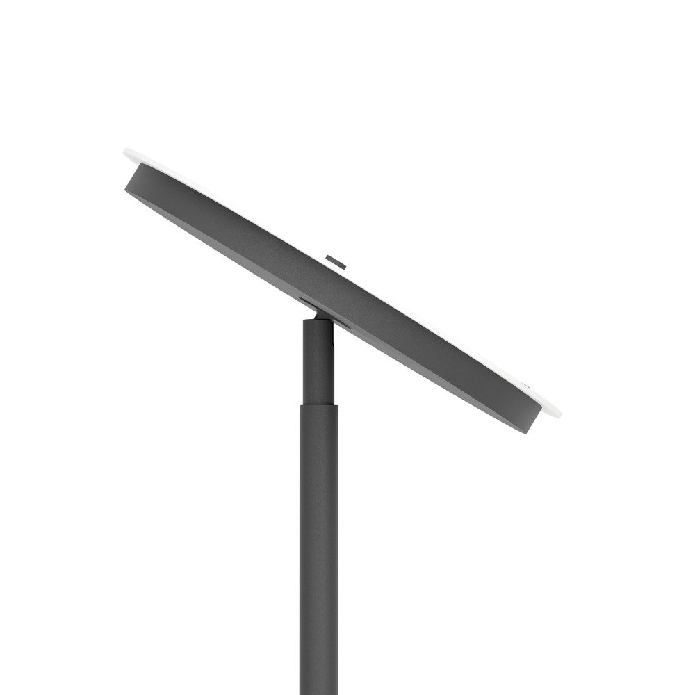 Lampadaire de conception Piagnolo Noir Eglo 9008606399390