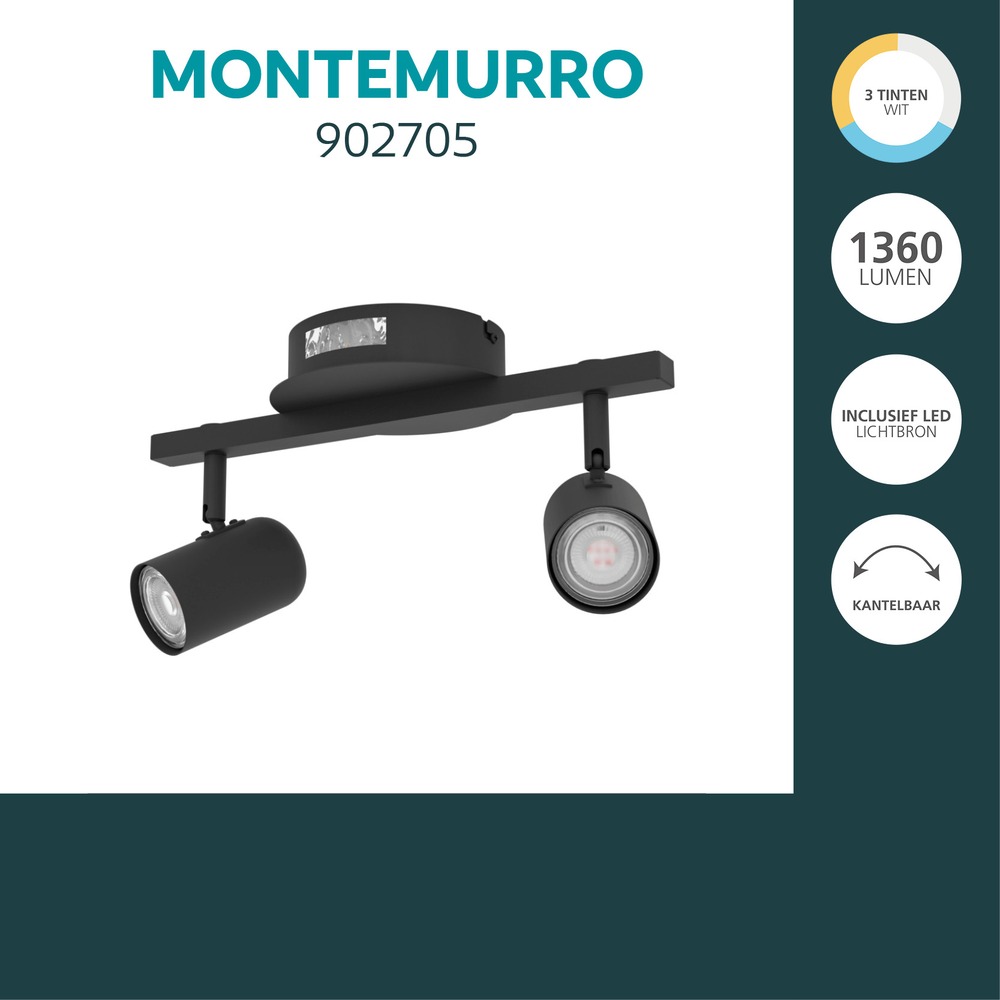 Emplacement monté en surface Montemurro 2-noir clair Eglo 9008606392216