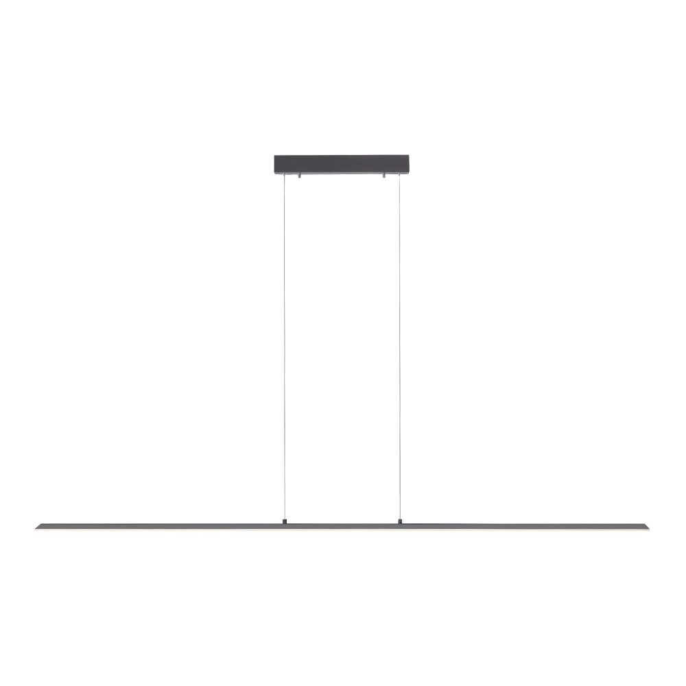 Lampe suspendue design Pure Lite 160 cm anthracite Paul Neuhaus 4012248344897
