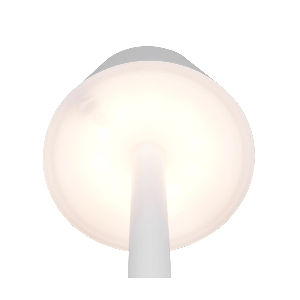 Lampe de table rechargeable Vidal blanc Trio 4017807644821