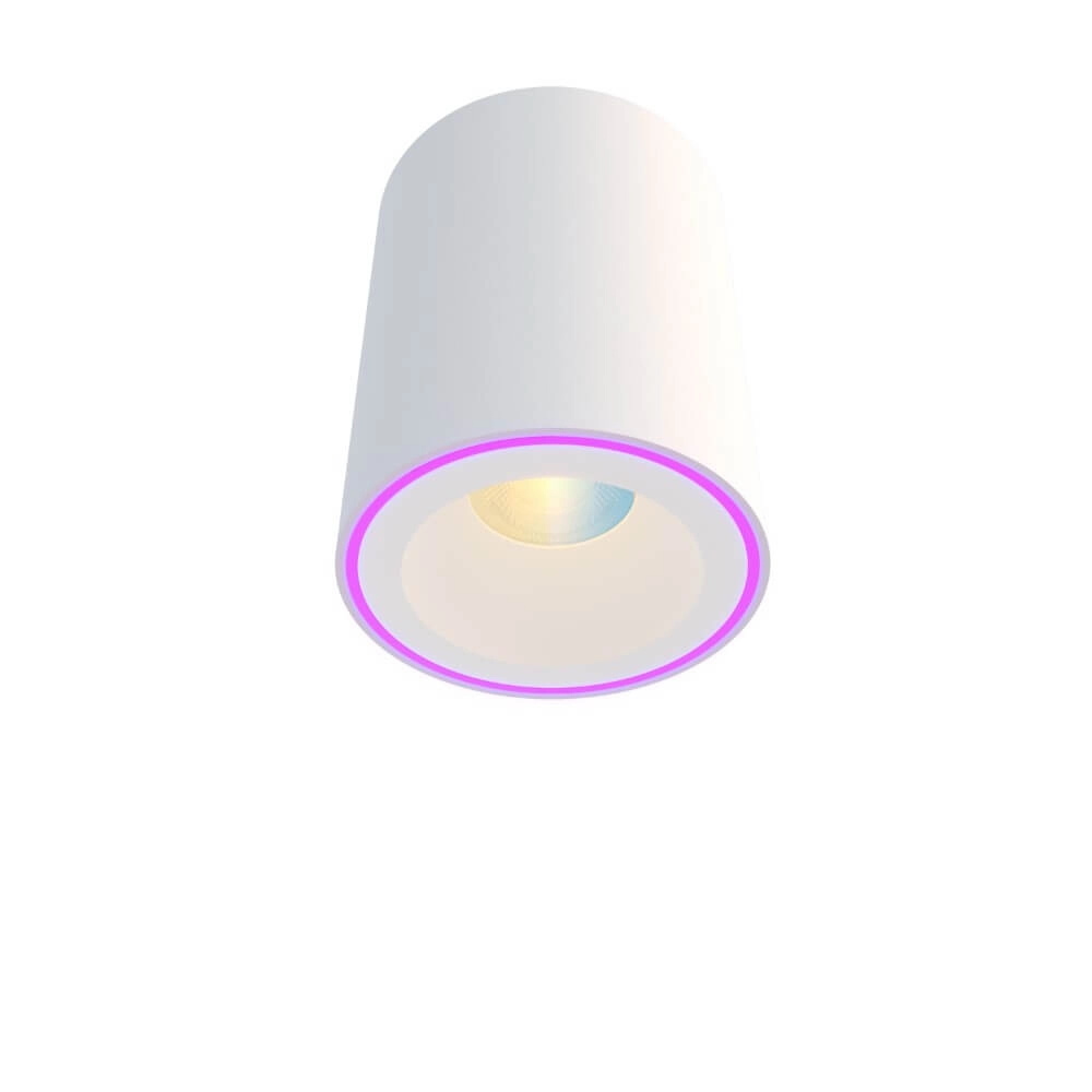 Spot intelligent en saillie Halo blanc