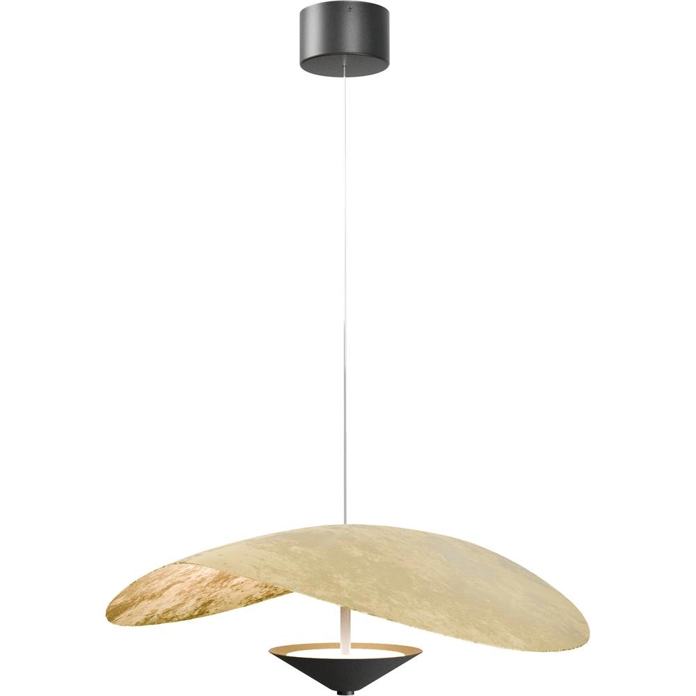 Ø Lumière suspendue LED de 60 cm Lente Feuille d’or - avec poulie Masterlight 8718121390673