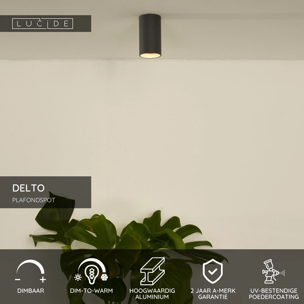 Spot lisse monté en surface Delto gris Ø 5,5cm incluant la source lumineuse Lucide 5411212092373