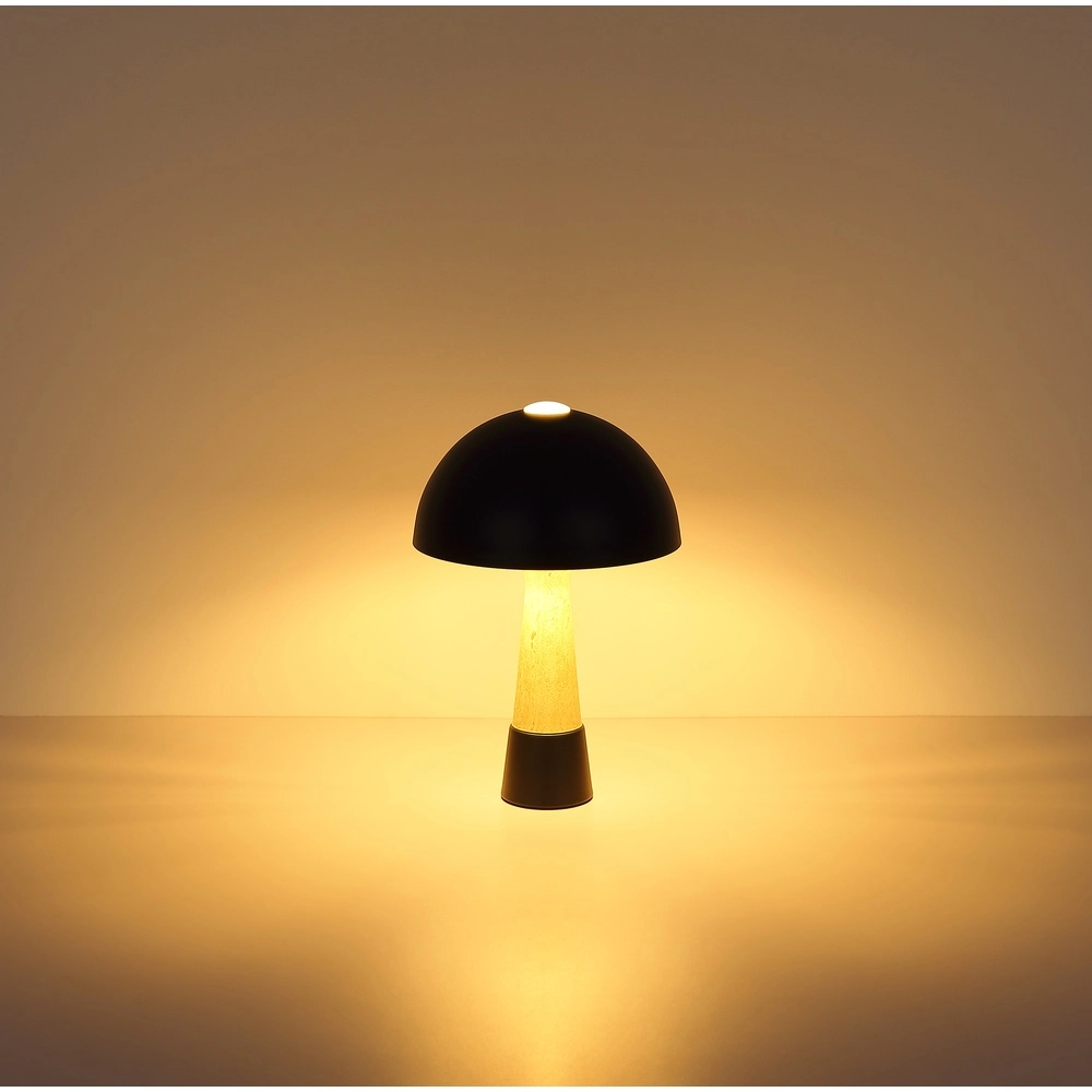 Lampe de table unique Paulin Ø 25cm noir Globo 9007371573059
