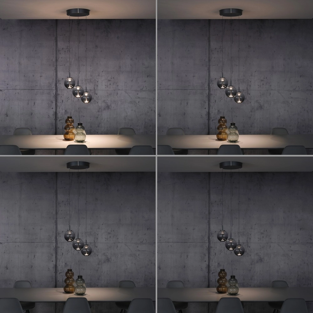 Lampe pendante Vide Pure E-Infinty Gris mystique avec verre fumé Paul Neuhaus 4012248398173