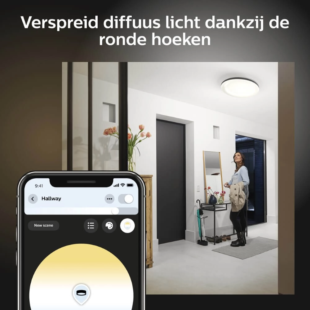 Plafonnier Hue Cher - White Ambiance Ø 47,5 cm noir Philips 8719514341173