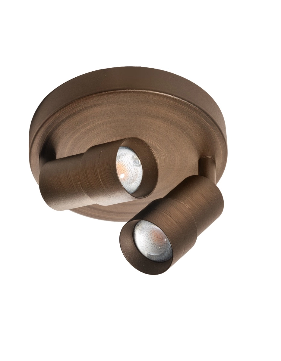 Projecteur de surface à deux lumières Liam LED - Bronze