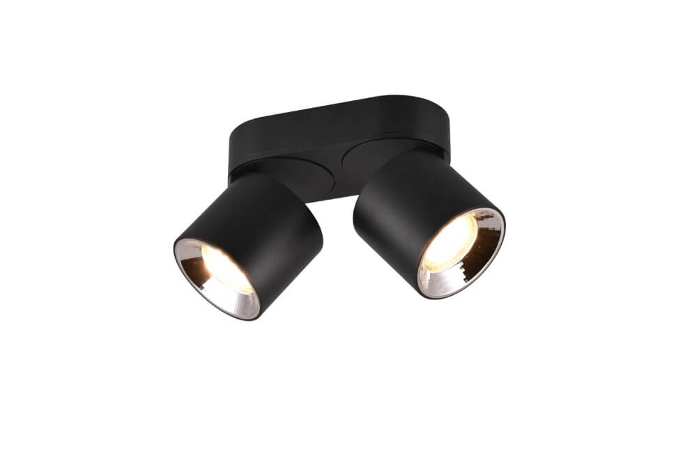 Plafonnier Guayana 2 lumières noir Trio 4017807573961