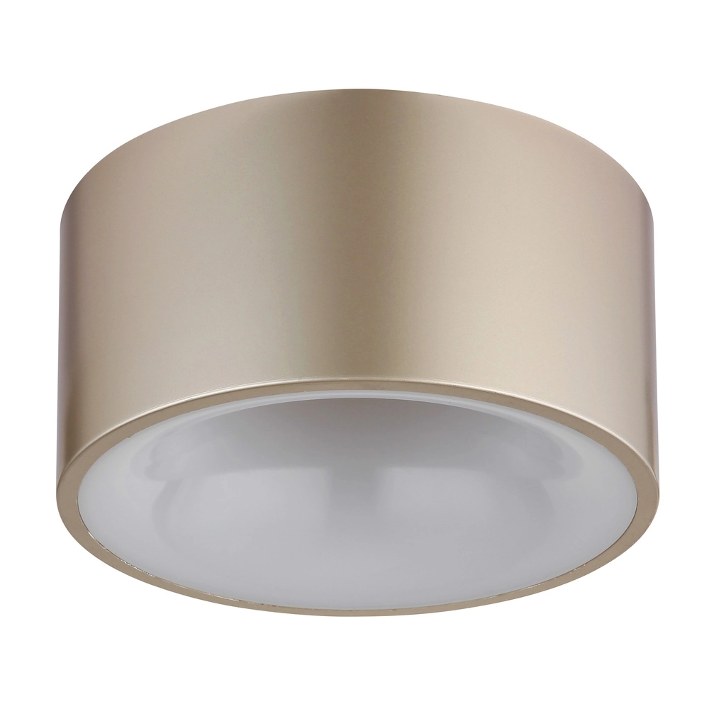 Lampe de plafond Raymond Champagne Globo 9007371528868