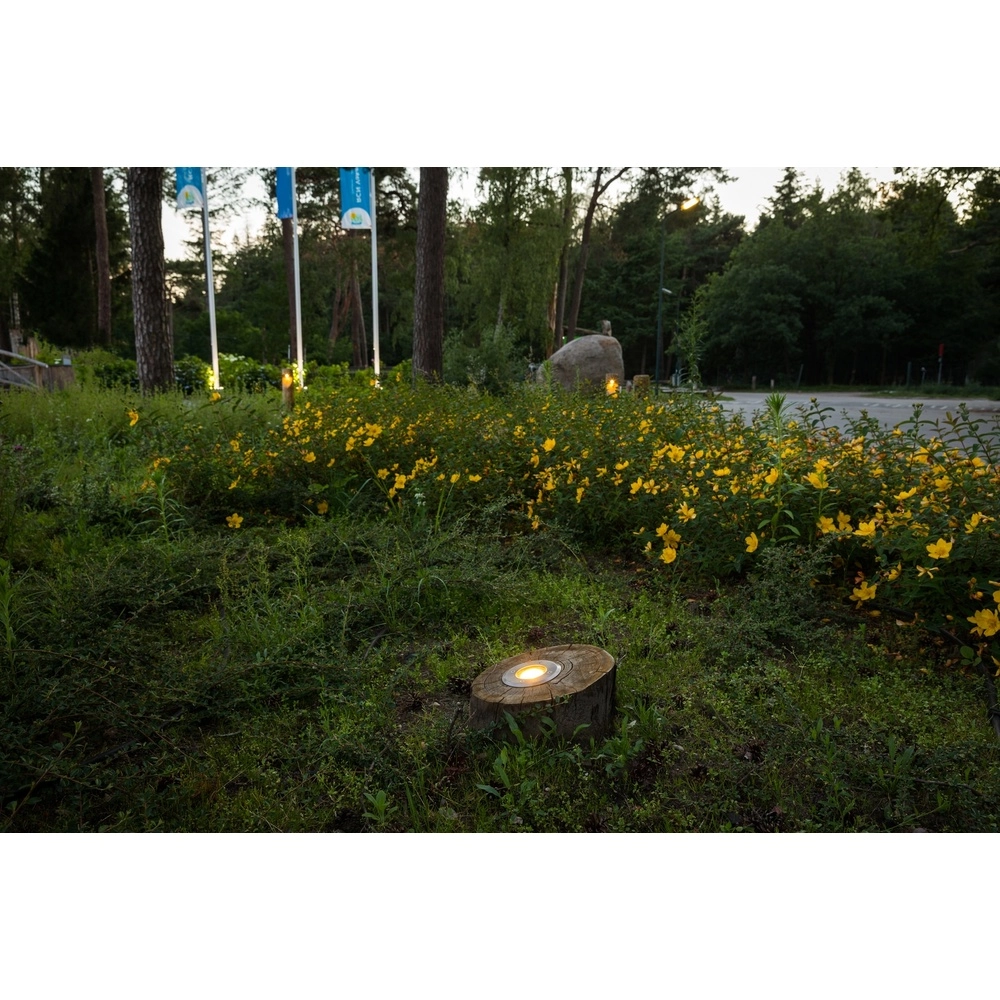 Lumineuse en bois Basso Châtaignier - 40 cm - 2700K Timberlab 8716803513693