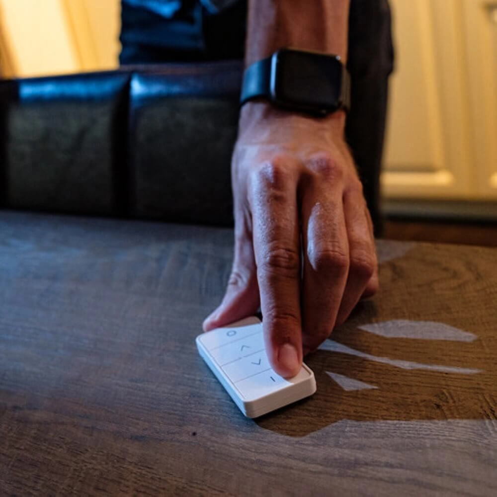 Dimming Remote AduroSmart 644558228723