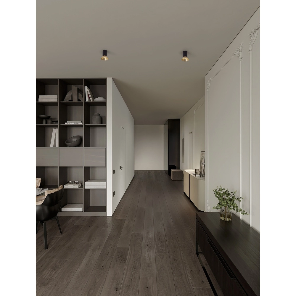 Spot de plafond Luvia noir avec or Lyora 5212017475497