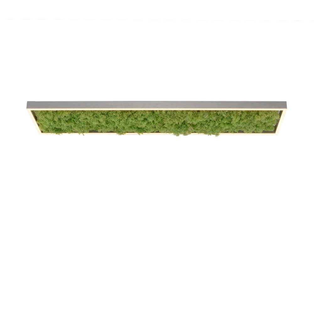 Plafonnier rectangulaire Green Knut avec de la mousse Just Light 4043689994846