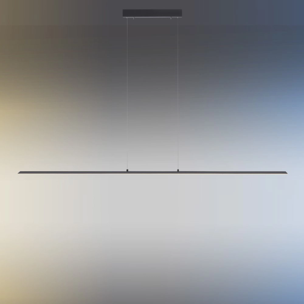 Lampe suspendue design Pure Lite 160 cm anthracite Paul Neuhaus 4012248344897