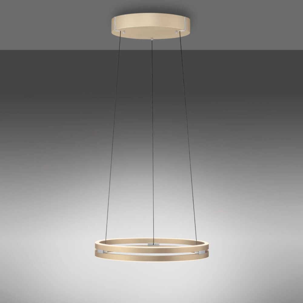 Lampe suspendue élégante Pure E-Loop laiton Paul Neuhaus 4012248372265