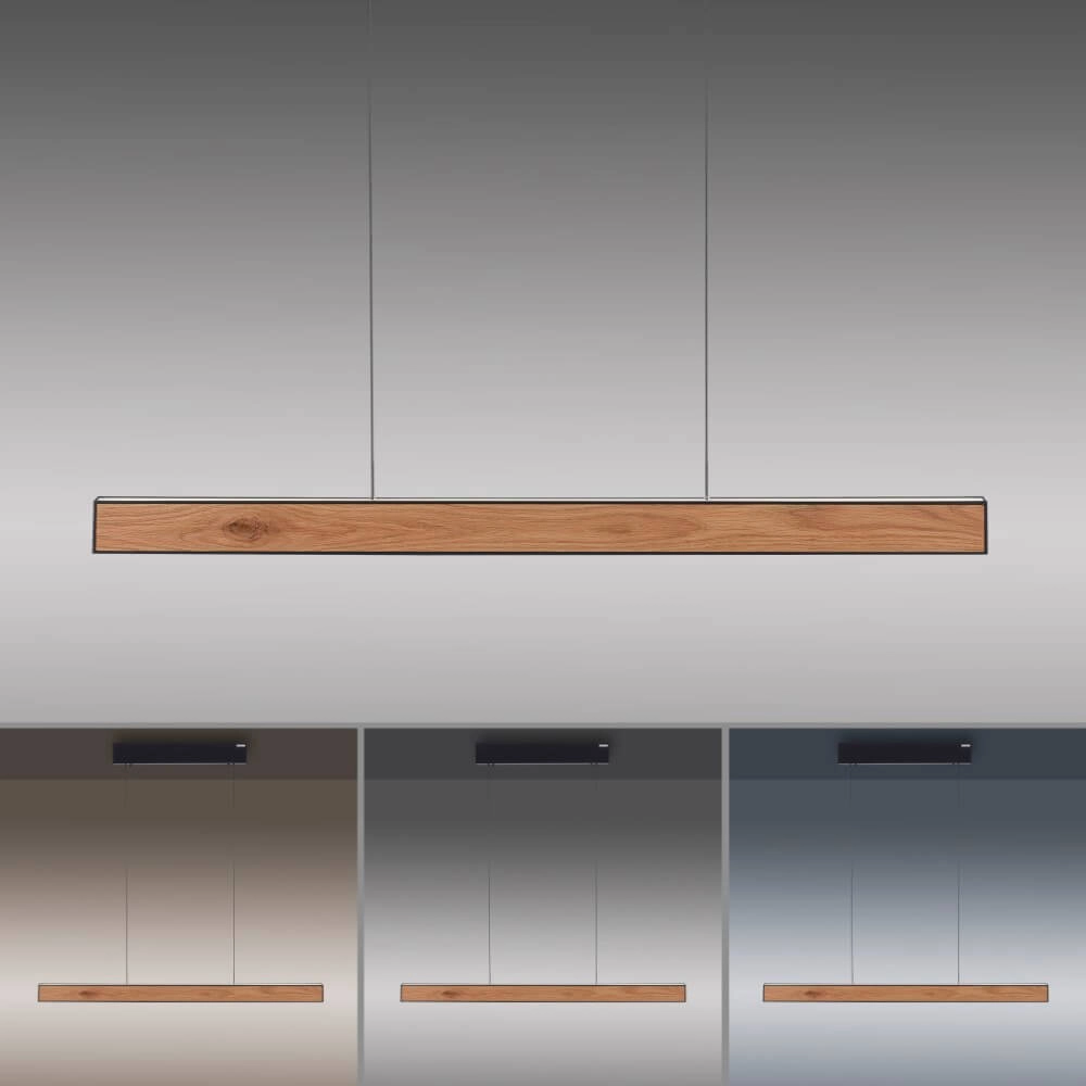 Lampe suspendue design Pure E-Motion bois Paul Neuhaus 4012248372937