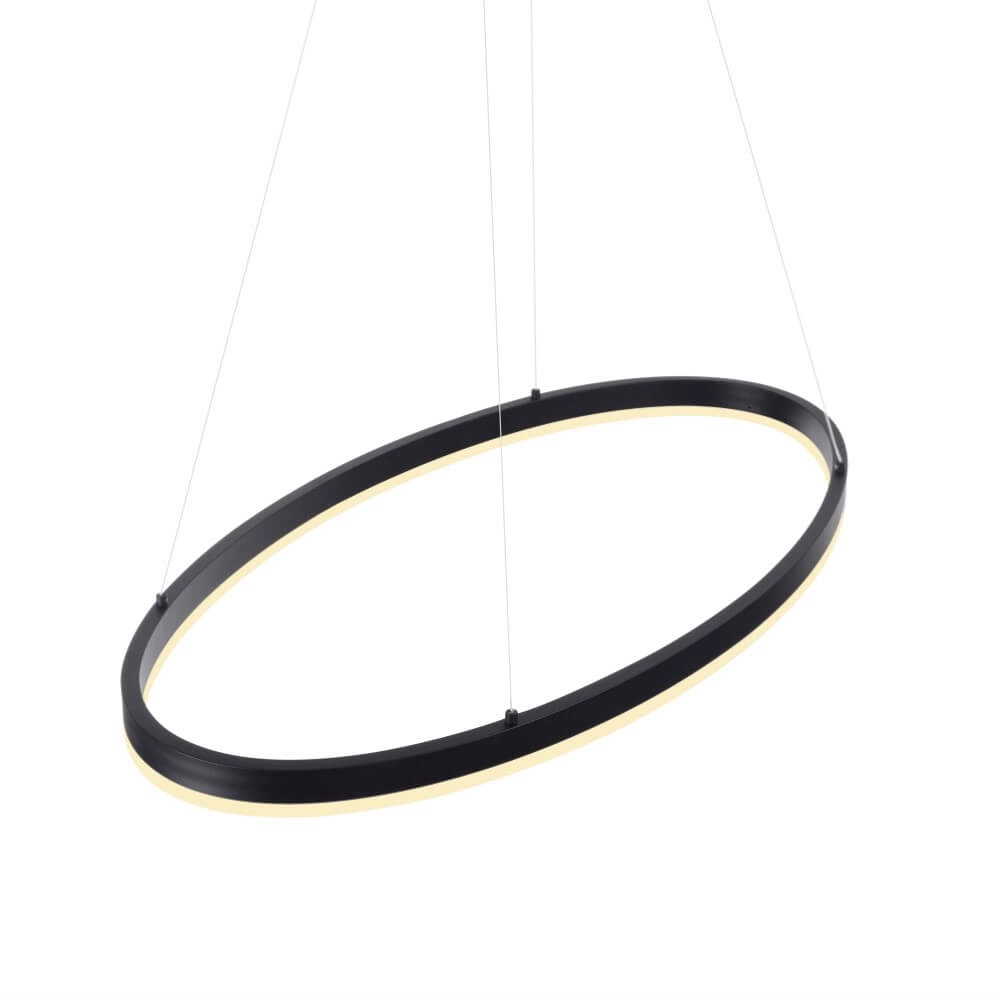 Lampe à suspension anthracite Titus Ø80cm Paul Neuhaus 4012248375211