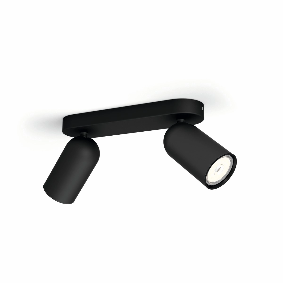 Lampe Pongee 2 lumières noir Philips 8718696164815