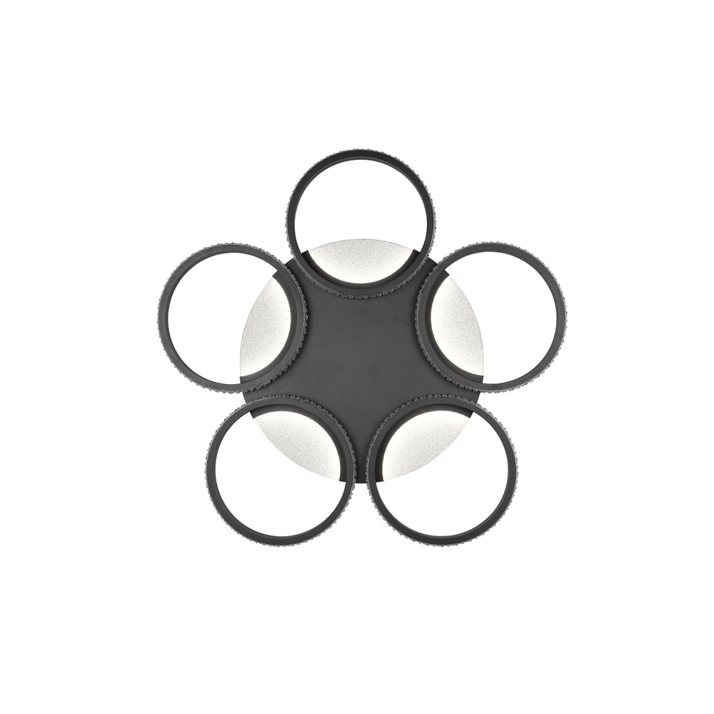 Lampe de plafond Lumer Noir Trio 4017807706390