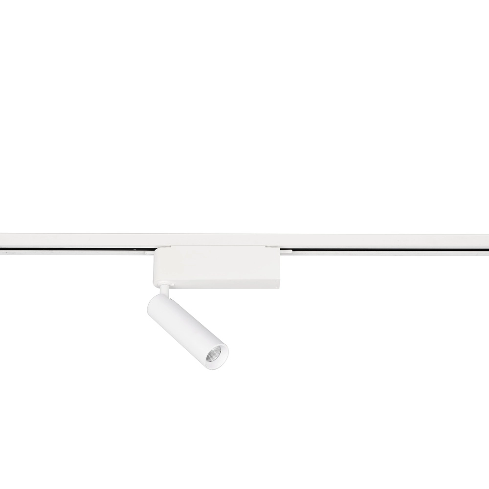 Spot ferroviaire Ambala Blanc 2 phases Trio 4017807663013