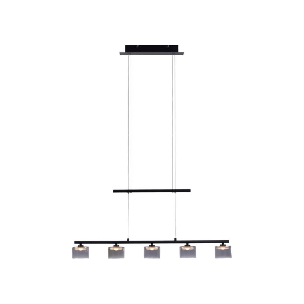 Lampe suspendue 5 lumières Hydra noir Paul Neuhaus 4012248364970