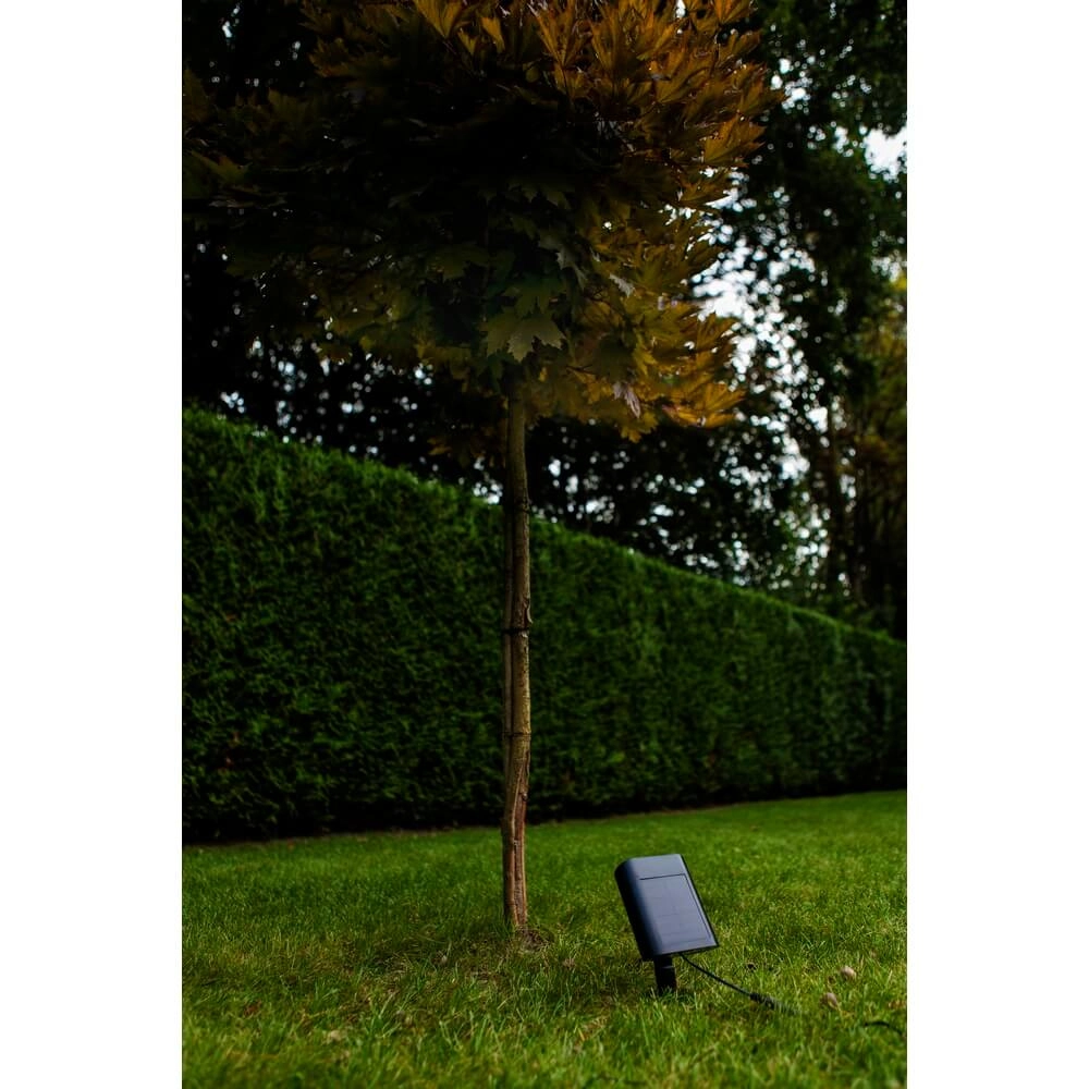 Lampe de jardin solaire Bingo avec capteur de mouvement Lutec 6939412089980