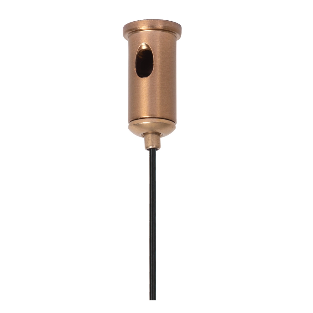 Câble de suspension pour rail monophasé Linial Champagne Premium by Lucide 5411212552518