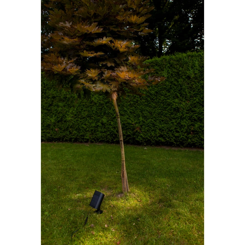 Lampe de jardin solaire Bingo avec capteur de mouvement Lutec 6939412089980