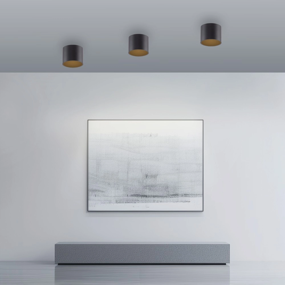 Emplacement monté en surface au plafond Pure Point Ø 11cm - nacré noir Paul Neuhaus 4012248395646