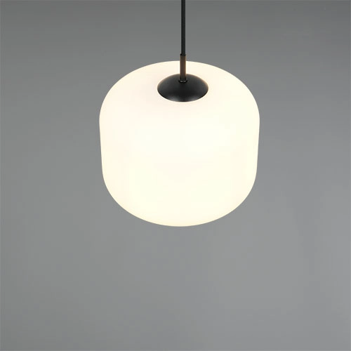 Lampe suspendue Signe blanc Ø 25cm Trio 4017807686739