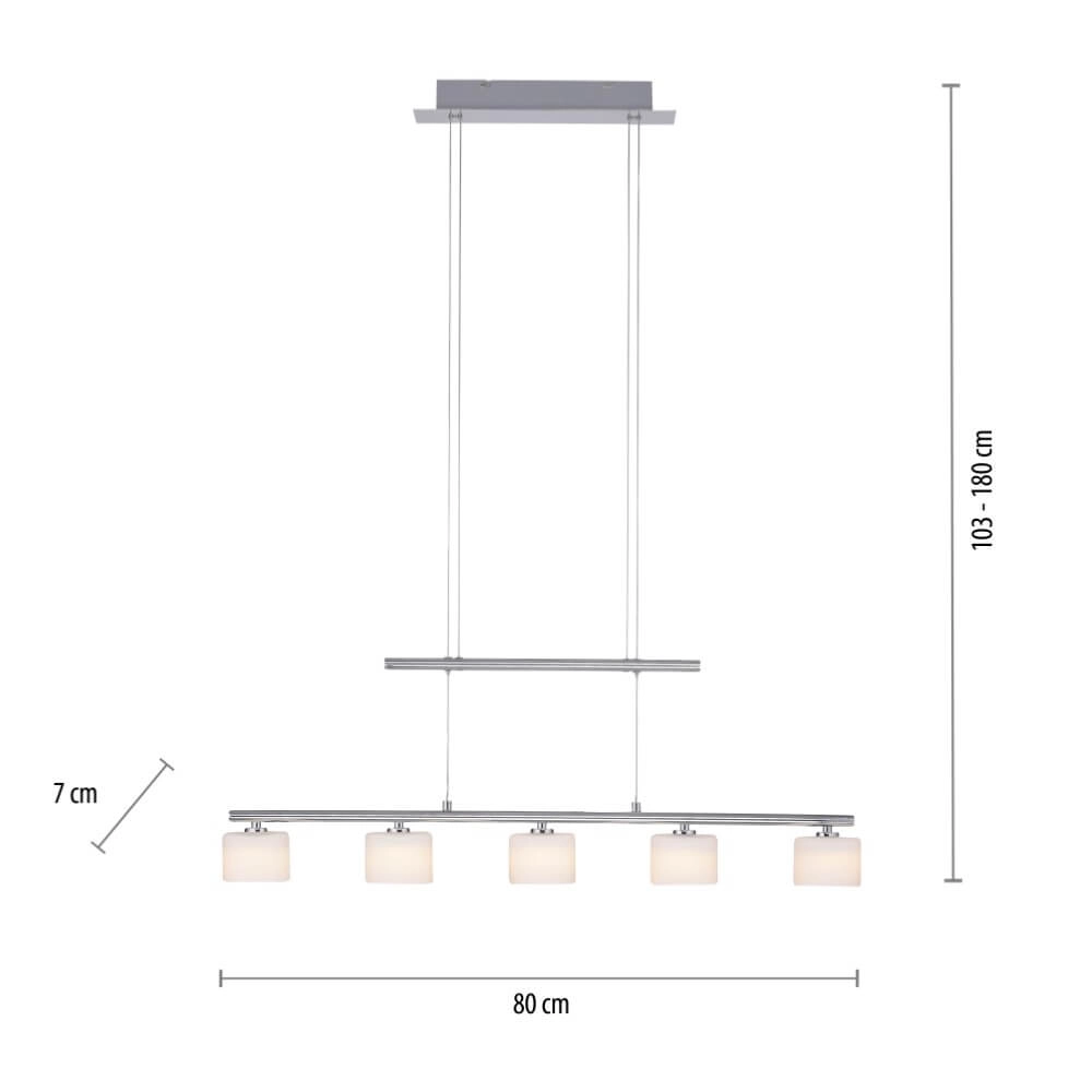 Lampe suspendue 5 lumières Hydra métal Paul Neuhaus 4012248364963