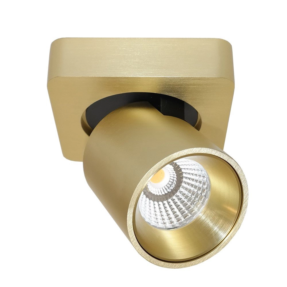 Spot LED Laguna or