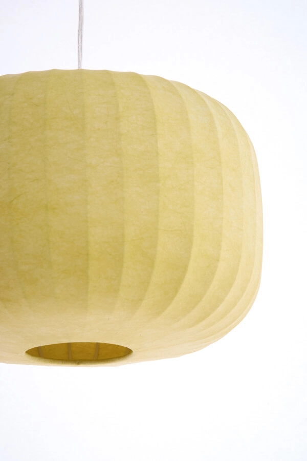 Suspension Japandi Lexa vert Ø 35cm Light & Living 8717807756833