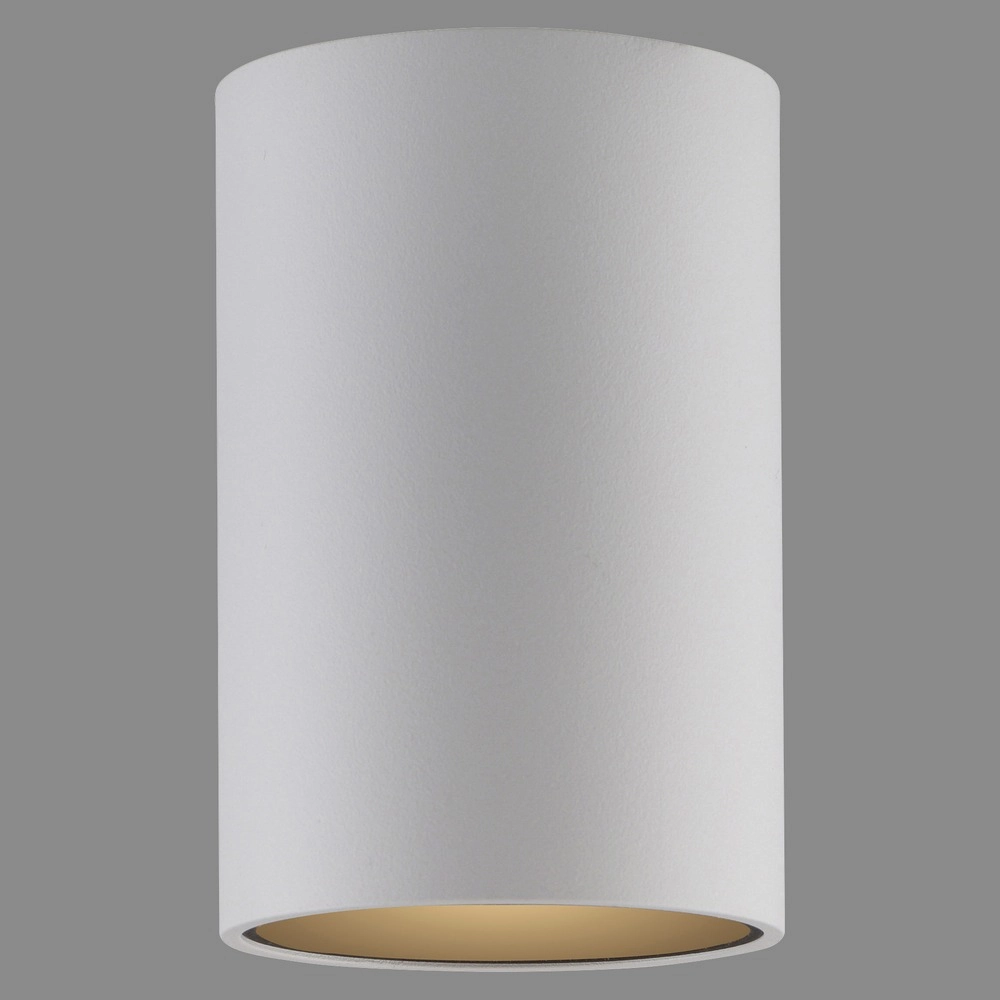 Emplacement monté en surface au plafond Pure Point Ø 6 cm - blanc