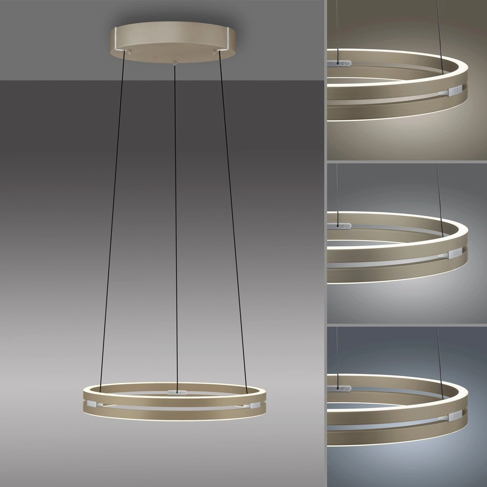 Lampe suspendue de bureau Pure E-Loop bronce - Ø 50 cm Paul Neuhaus 4012248398357