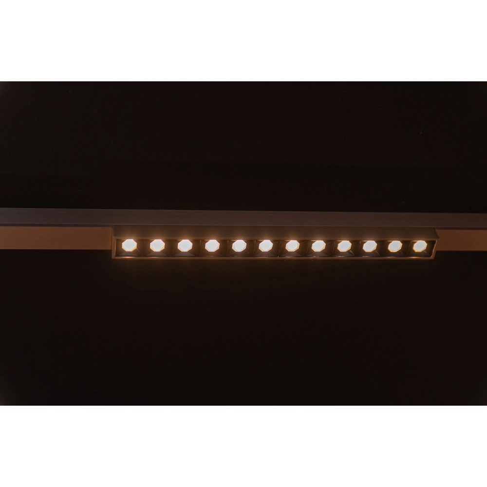 Spot sur piste monophasée Linial Xenia Champagne Premium by Lucide 5411212552570