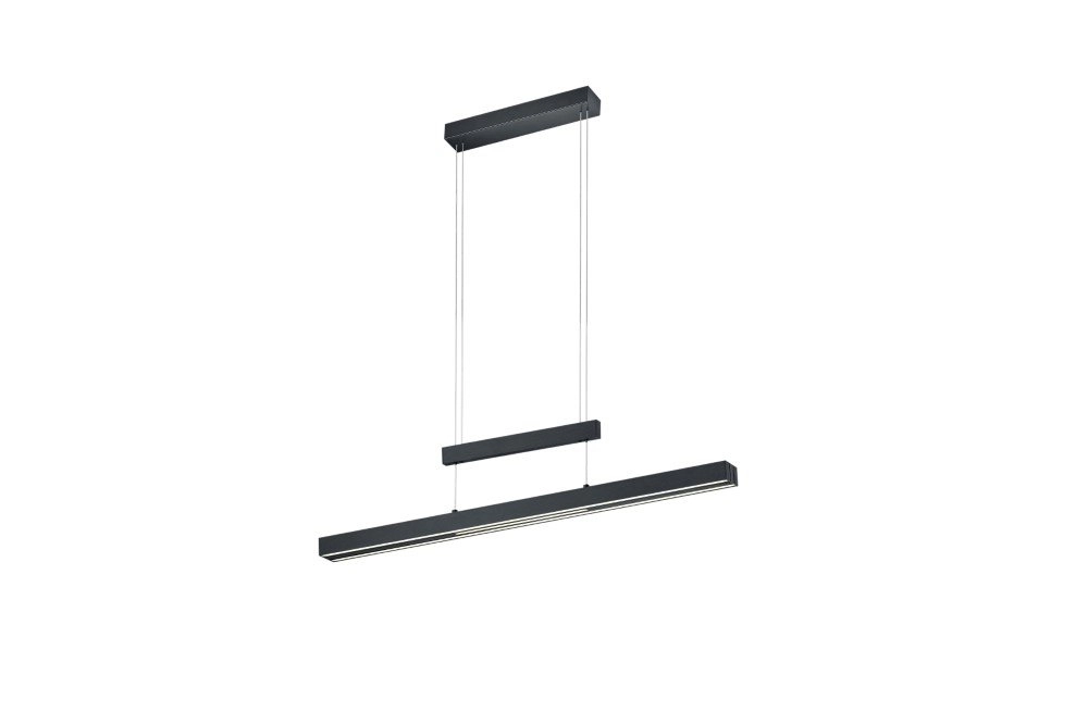Lampe suspendue réglable Trajan noir mat Trio 4017807472233