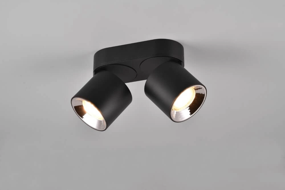 Plafonnier Guayana 2 lumières noir Trio 4017807573961