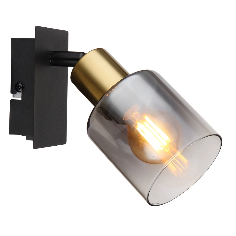 Lampe murale Hollsy noir avec verre fumé