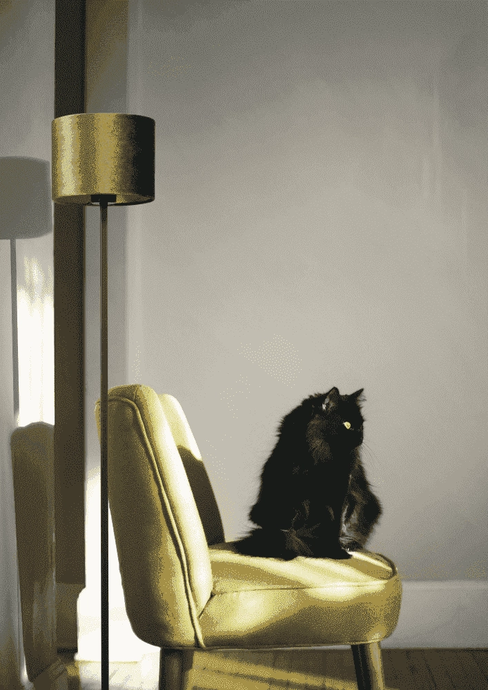 Lampadaire noir Venus 150cm avec abat-jour vert olive Masterlight 8718121204222