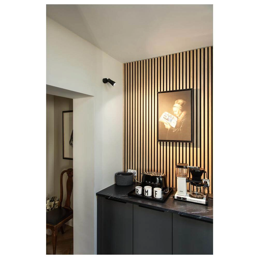 Spot monté en surface Puri 2.0 Cone Noir Simple SLV 4024163294386