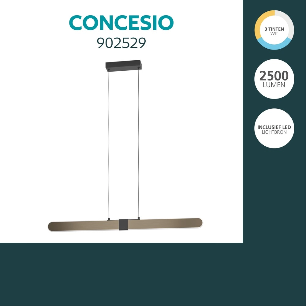 Lampe pendante de conception Concesio noir avec bronze Eglo 9008606391394
