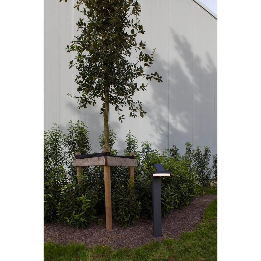 Éclairage de chemin solaire Runda avec capteur Lutec 6939412070940