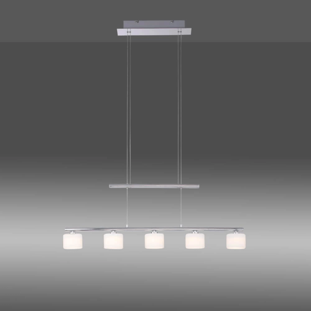 Lampe suspendue 5 lumières Hydra métal Paul Neuhaus 4012248364963