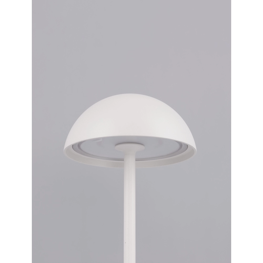 Lampe de table noire Rose blanc Lyora 5212017439611
