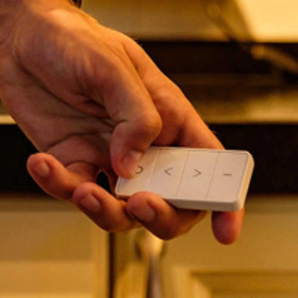 Dimming Remote AduroSmart 644558228723