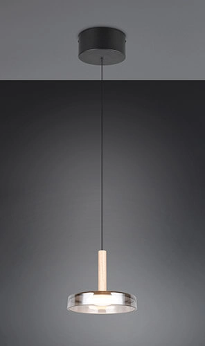 Lampe suspendue LED Celeste Ø 22cm - verre fumé Trio 4017807616880