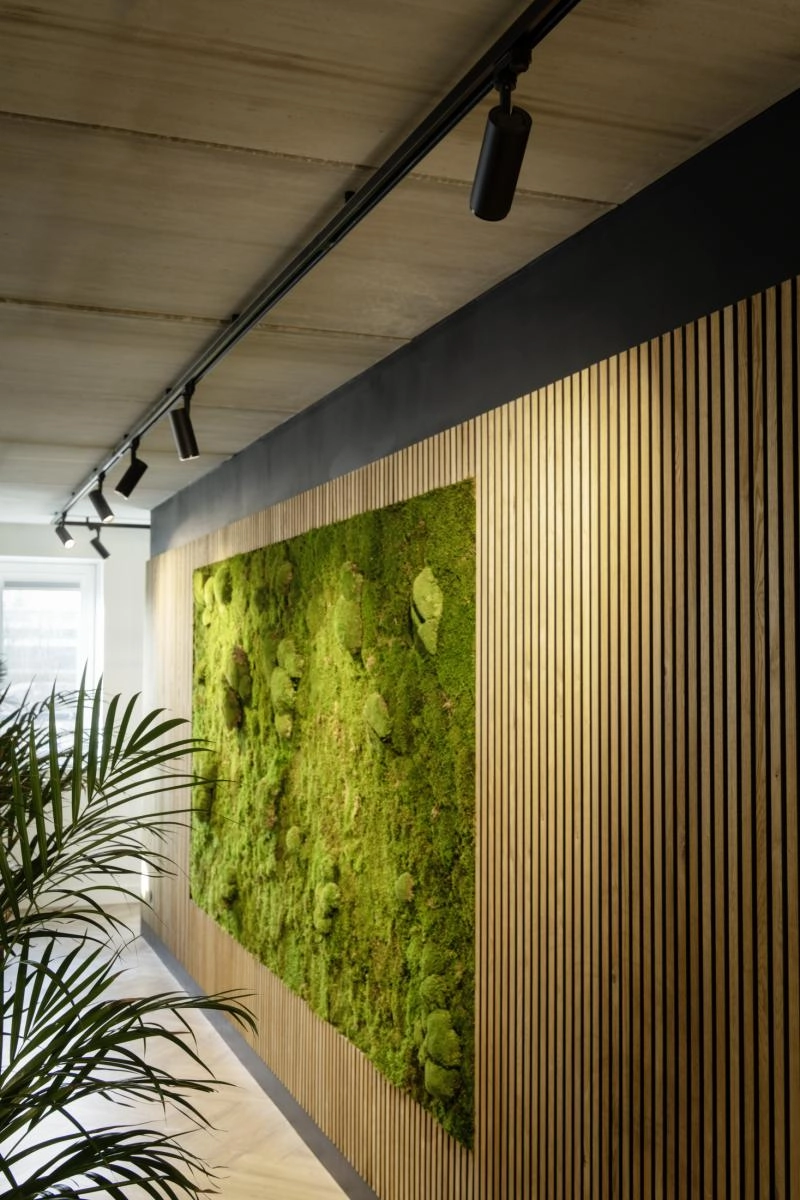 Railspot 3-phasé Numinos M Dali noir 3000K - 36 deg SLV 4024163246170