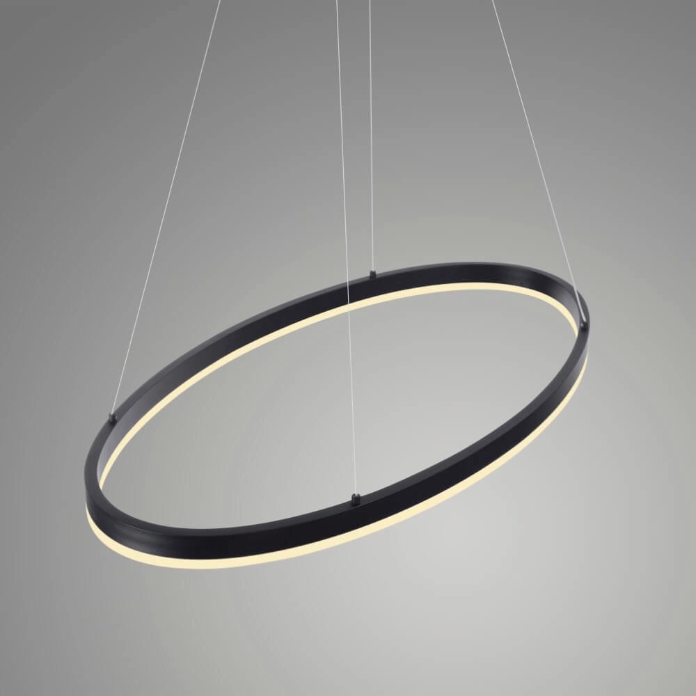 Lampe à suspension anthracite Titus Ø80cm Paul Neuhaus 4012248375211