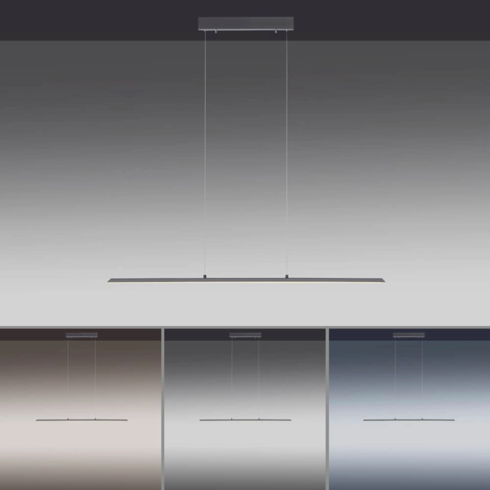 Lampe suspendue design Pure Lite 100 cm anthracite Paul Neuhaus 4012248344873